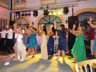 Hochzeitsgäste tanzen ausgelassen und klatschen in die Hände, während ein DJ aus Wien für beste Musik und Stimmung sorgt